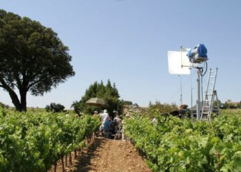 7,28M€ de retombées économiques en 2023 grâce à la Commission du film Luberon-Vaucluse