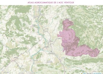 Réchauffement climatique : l’AOC Ventoux prépare la vigne du futur grâce à un outil de cartographie unique