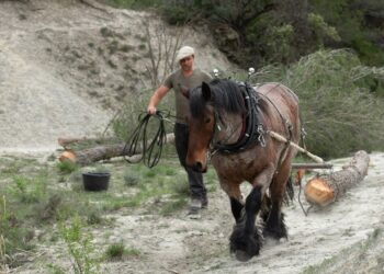 L’aventure du Parc naturel régional du Luberon va se poursuivre avec la révision de sa charte d’ici 2025