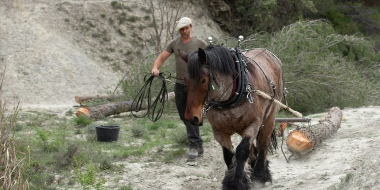 L’aventure du Parc naturel régional du Luberon va se poursuivre avec la révision de sa charte d’ici 2025