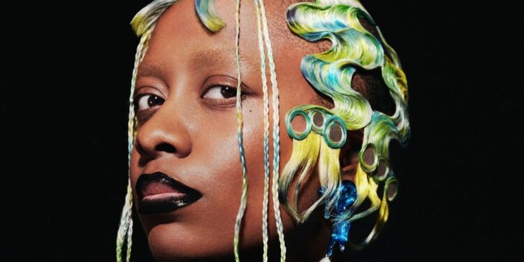 L’Onap invite la chanteuse Cécile McLorin Salvant à la salle Confluence spectacles ce samedi