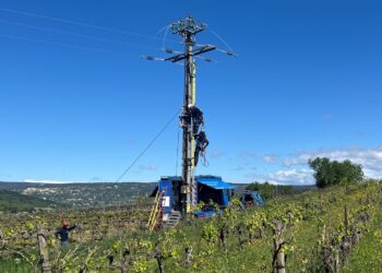 Luberon : Enedis s’engage pour préserver la faune et la biodiversité à Goult 