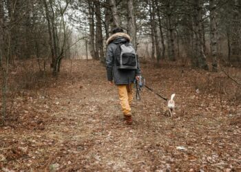 Une randonnée caritative au profit de la SPA vauclusienne