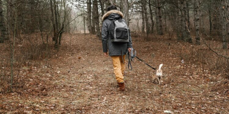 Une randonnée caritative au profit de la SPA vauclusienne