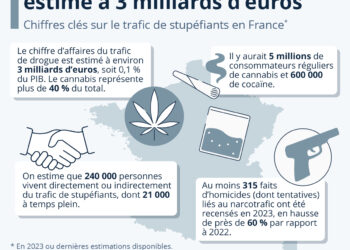 Trafic de drogue : un marché estimé à 3 milliards d’euros en France