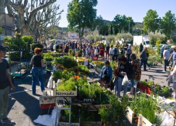 Vaison-la-Romaine organise Les Fleuralies, son grand marché aux fleurs
