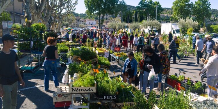 Vaison-la-Romaine organise Les Fleuralies, son grand marché aux fleurs