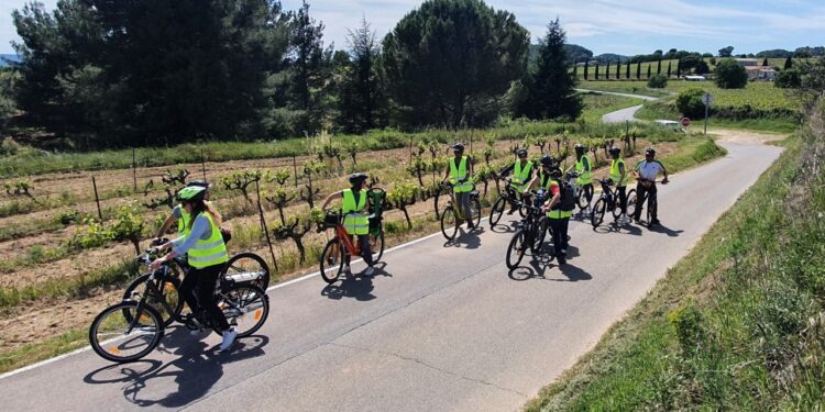 Cotelub dédie une journée au développement durable