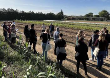 Le Parc du Mont-Ventoux organise l’évènement agricole « ces terres qui nous nourrissent » à Aubignan 