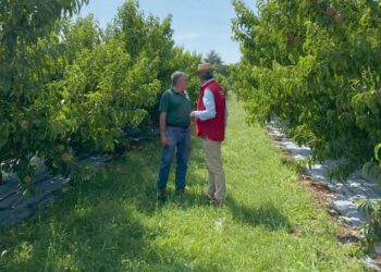 Auchan met le monde agricole en lumière avec la 4e édition de ‘Tous aux champs, le tour’