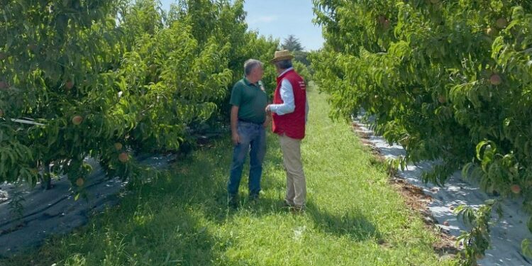 Auchan met le monde agricole en lumière avec la 4e édition de ‘Tous aux champs, le tour’