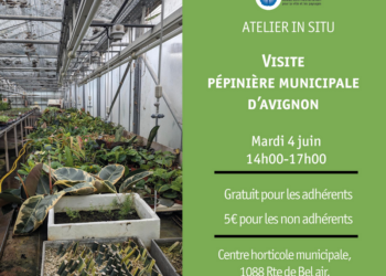 L’association Volubilis ouvre les portes au public de la pépinière municipale d’Avignon