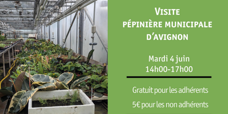 L’association Volubilis ouvre les portes au public de la pépinière municipale d’Avignon