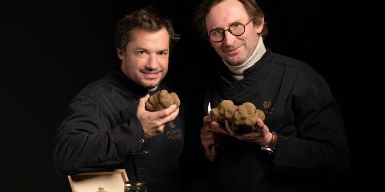 Plantin ouvre son capital à l’investisseur FrenchFood Capital