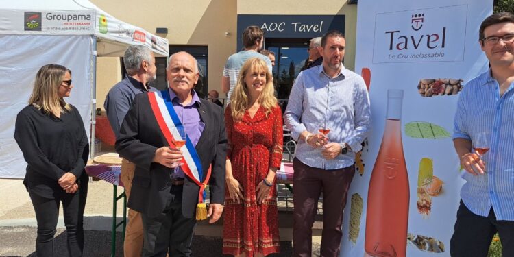 1e AOC de rosé de France, l’appellation Tavel se dote d’une cave flambant neuve