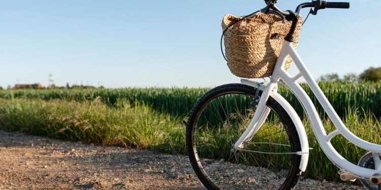 L’Agglomération Luberon Monts de Vaucluse lance la 1ᵉ édition de LMVélo