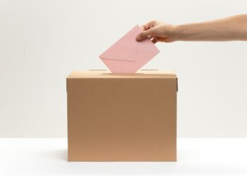 Le RN en tête dans la 5e circonscription de Vaucluse