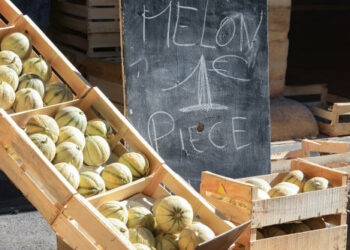 Le Min de Cavaillon célèbre le melon