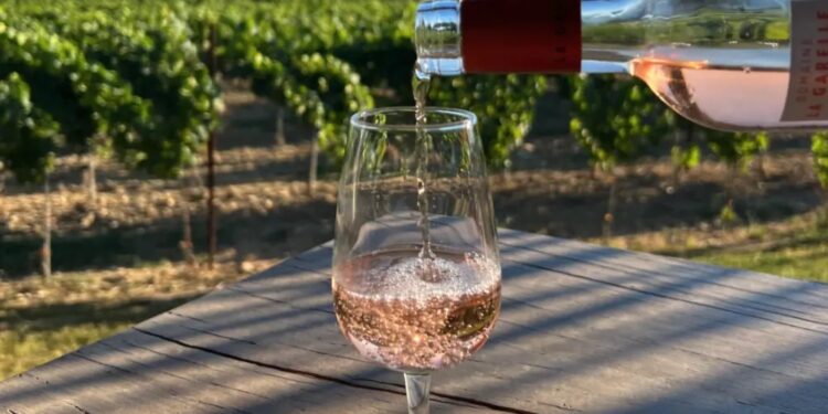 Les Sunsets Vignerons en Luberon reviennent pour une 6e édition