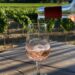 Les Sunsets Vignerons en Luberon reviennent pour une 6e édition