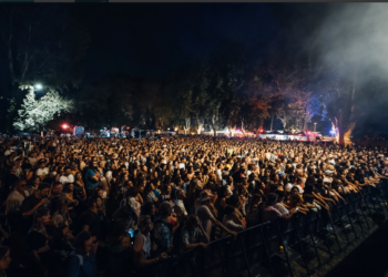 (Vidéo) Avignon : 8 000 personnes se sont réunies pour la deuxième édition de l’ID-Ile festival