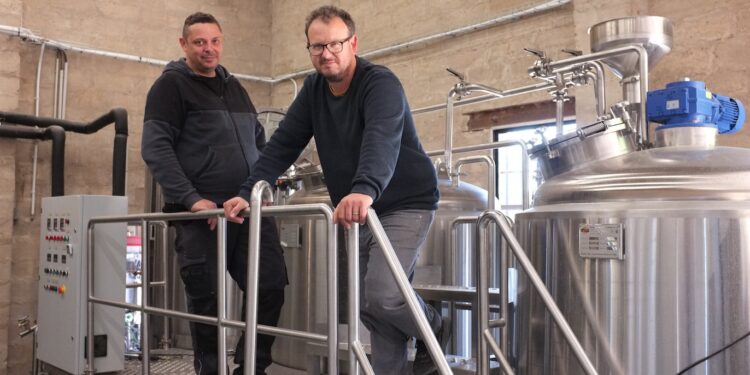 Que deviennent les micro-brasseries ?