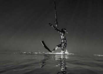 Courthézon : exposition de photographies sous-marines au Cellier des princes