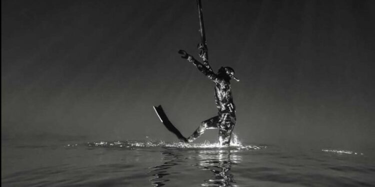 Courthézon : exposition de photographies sous-marines au Cellier des princes