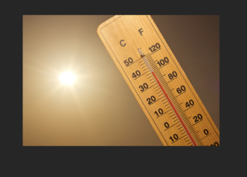 Fortes Chaleurs : Le CCAS de Sorgues lance un service d’appels