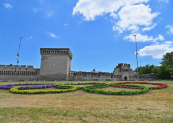 1 000 pieds de fleurs pour célébrer l’arrivée des jeux olympiques à Avignon