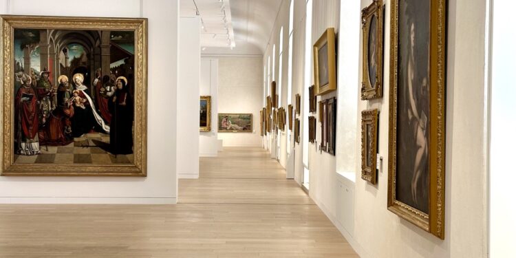 La bibliothèque-musée L’Inguimbertine s’invite sur vos écrans de télévision