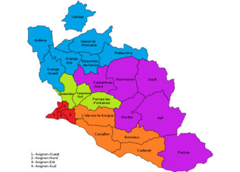 Grand chelem RN aux législatives? Les élus vauclusiens réagissent  