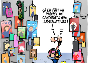 Les législatives à Avignon vues par Wingz pour l’Echo du Mardi