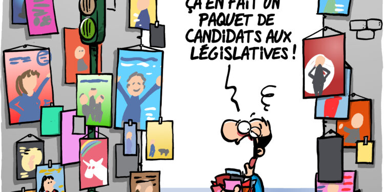 Les législatives à Avignon vues par Wingz pour l’Echo du Mardi