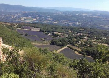 Auribeau : à la découverte des parcours de pâturage du Grand Luberon
