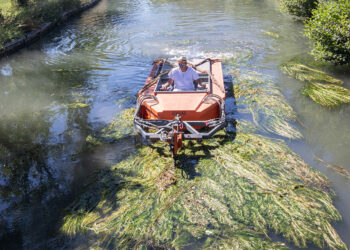 Faucardage sur le canal de Vaucluse