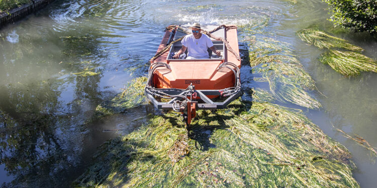 Faucardage sur le canal de Vaucluse