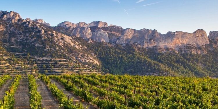 Beaumes-de-Venise : soirée football et DJ au Domaine de Coyeux