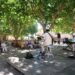 Cavaillon sort ses kiosques à musique pour l’été