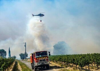 Feux de forêt : le Vaucluse à risque, malgré les dernières pluies
