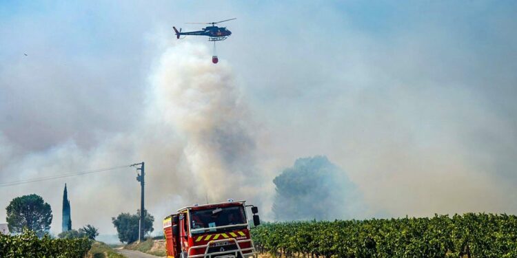 Feux de forêt : le Vaucluse à risque, malgré les dernières pluies