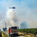 Feux de forêt : le Vaucluse à risque, malgré les dernières pluies