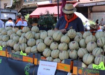 Le melon est en fête à Cavaillon