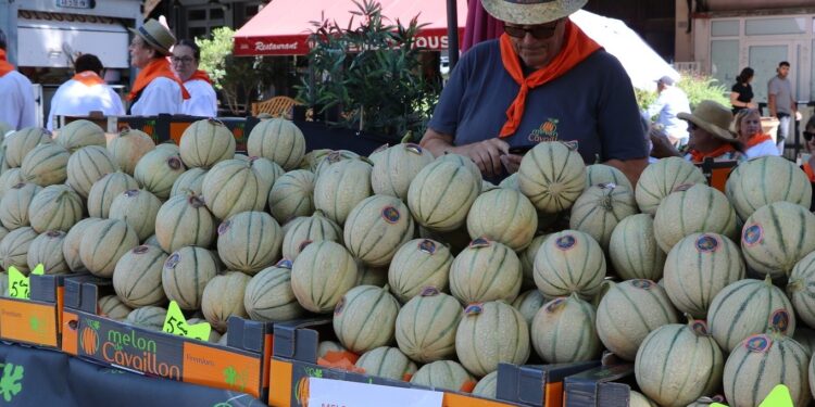 Le melon est en fête à Cavaillon