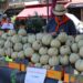 Le melon est en fête à Cavaillon