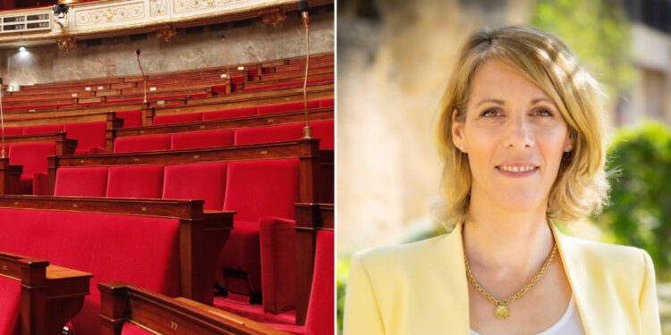 2e circonscription de Vaucluse : la RN Bénédicte Auzanot l’emporte