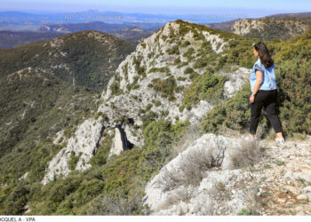 Comment sont protégés les espaces naturels lors de leur fréquentation estivale ?