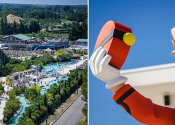 Parc de loisirs : Spirou s’offre Wave Island