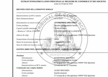 (Vidéo) Recrudescence des faux Kbis : Infogreffe alerte les entrepreneurs français