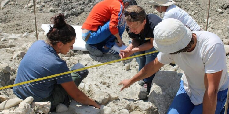 Orange : un monument funéraire du Néolithique découvert lors de fouilles archéologiques